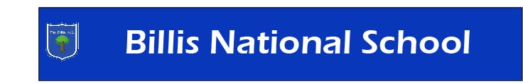 Billis National School