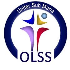 OLSS School Jumper
