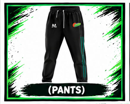 Steelers - Skinny  Pant